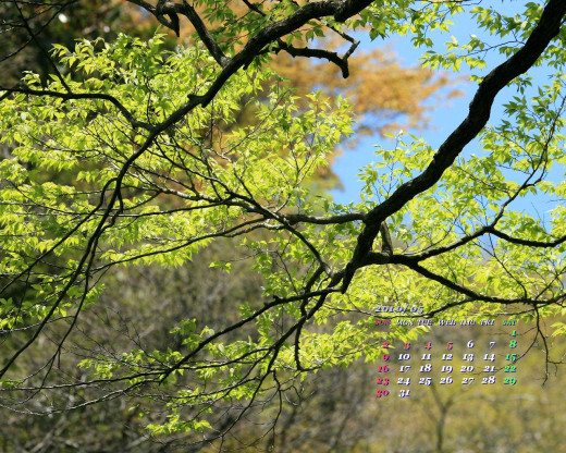 402680 (a): :1280x1024